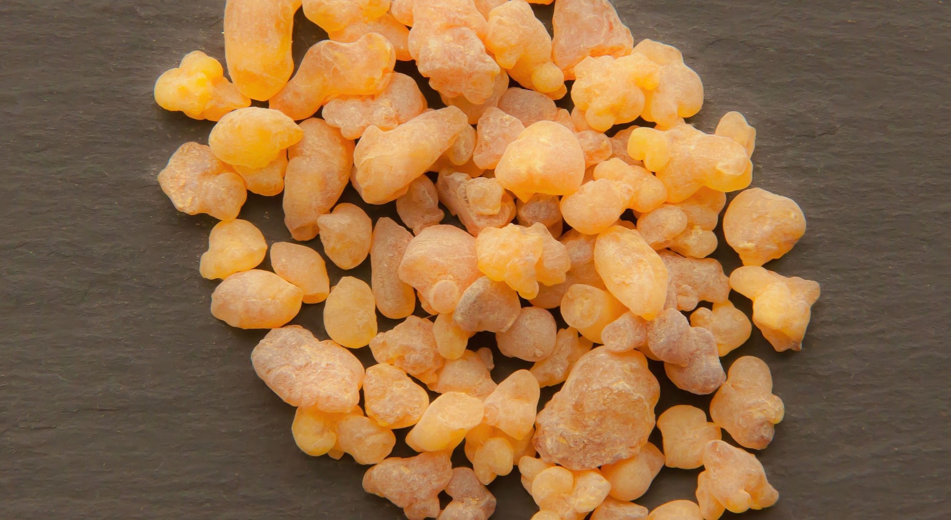 boswellia-sacra.jpg